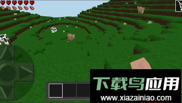 荒野之王最新版最新版截图3