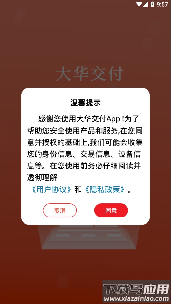 大华交付app