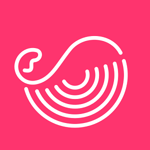 灰豚数据淘宝版安卓版