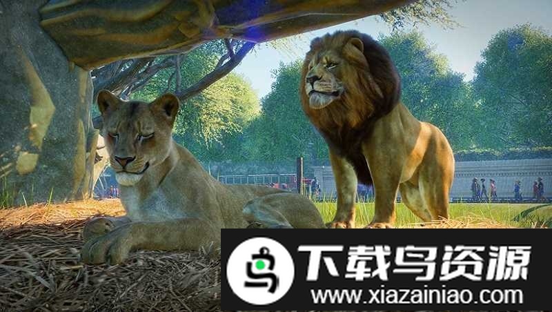 动物园之星豪华版手游