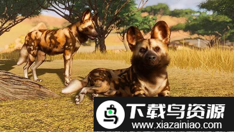 动物园之星豪华版手游最新版截图2