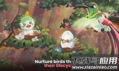 鸟类世界游戏Bird kind最新版截图2