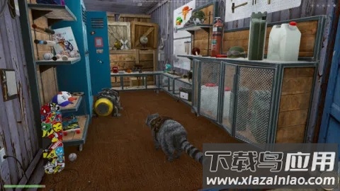 浣熊模拟器Raccoon Adventure: City Simulator 3D最新版截图3
