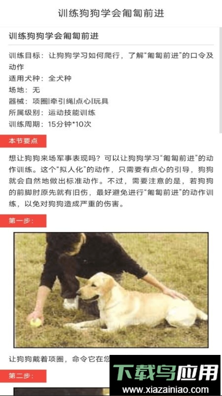 动物对话翻译器中文版截图1