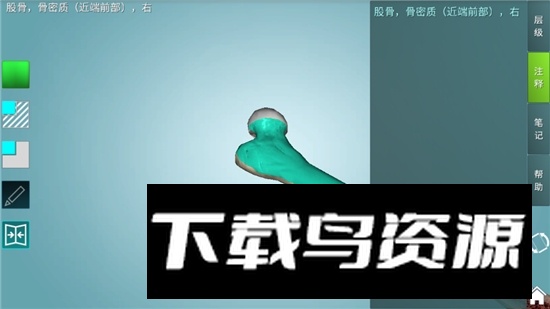 人体解剖学图集3d正版apk电子版截图2