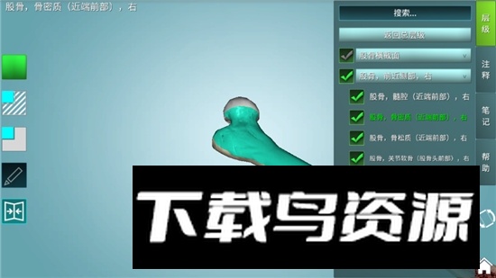 人体解剖学图集3d正版apk电子版截图3