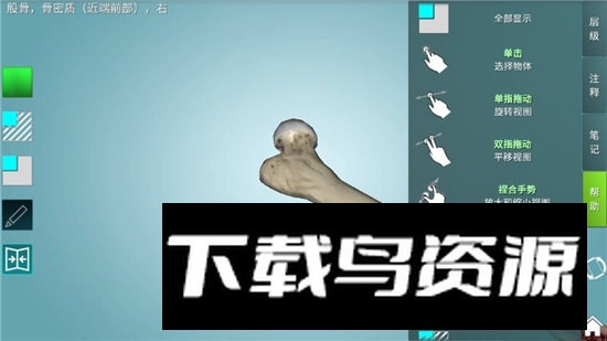 人体解剖学图集3d正版apk电子版截图4