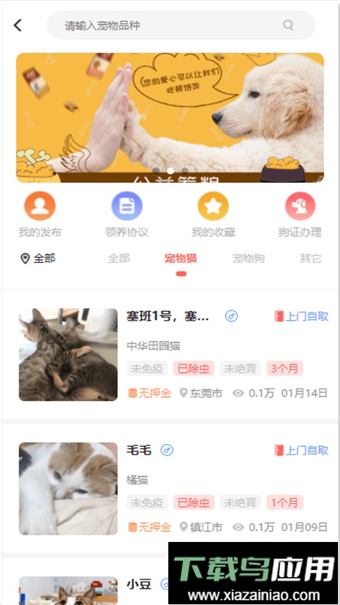 宠夫子最新版截图2