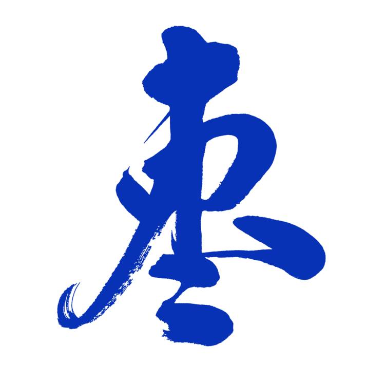 枣解决枣满意app安卓版