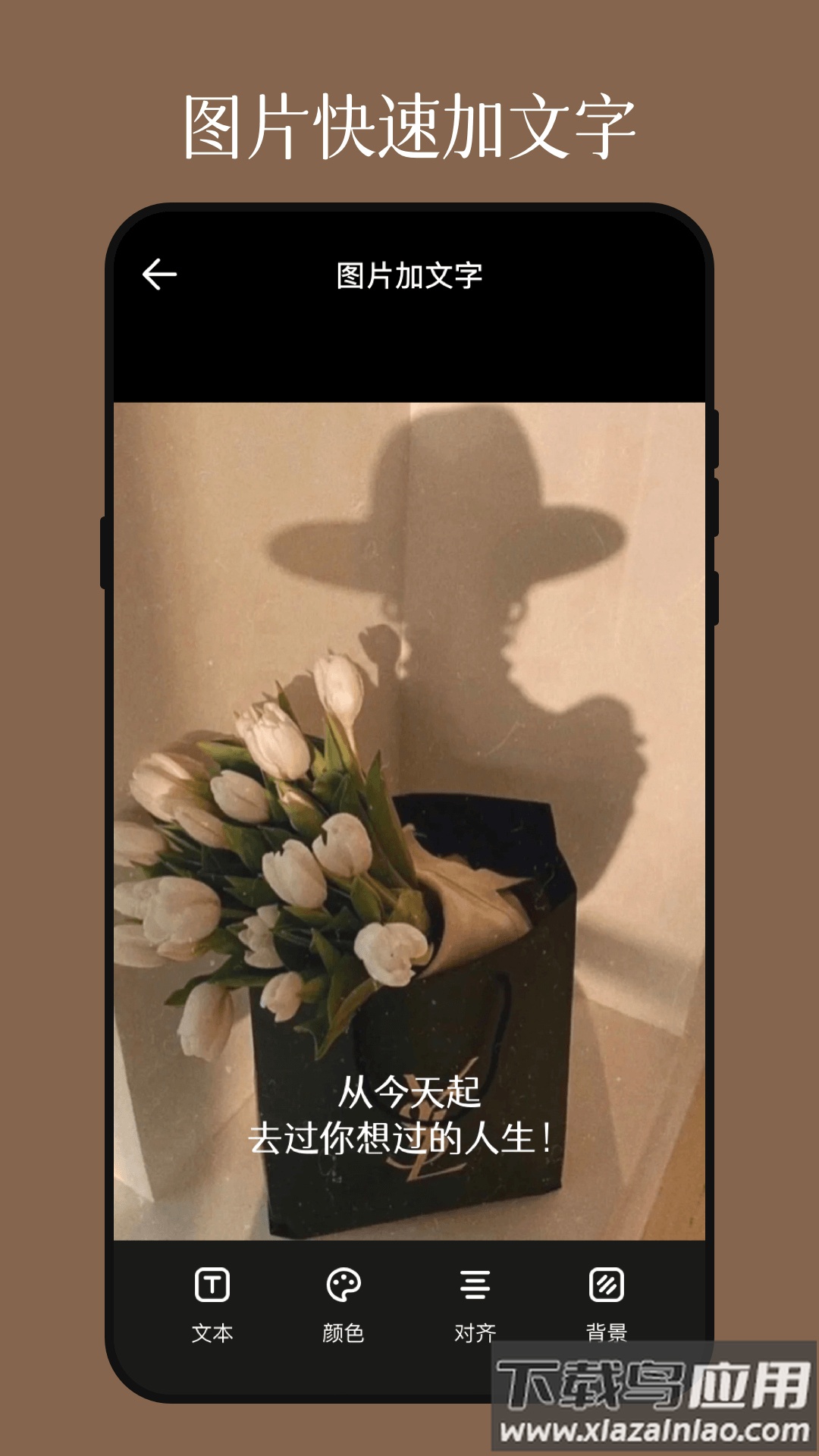 影视图片编辑器app最新版截图1