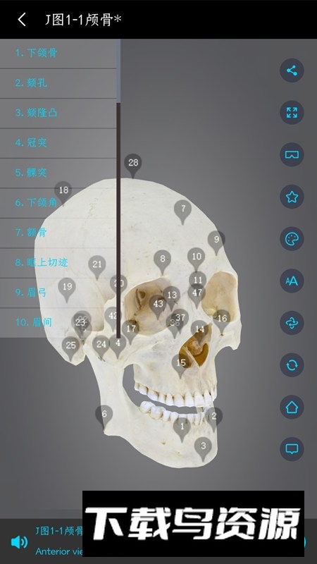 医维度解剖app官方手机版截图3