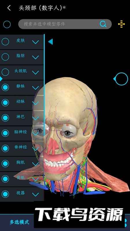 医维度解剖app官方手机版截图4