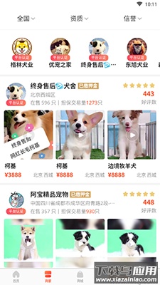 宠物市场app宠物交易平台最新版截图2
