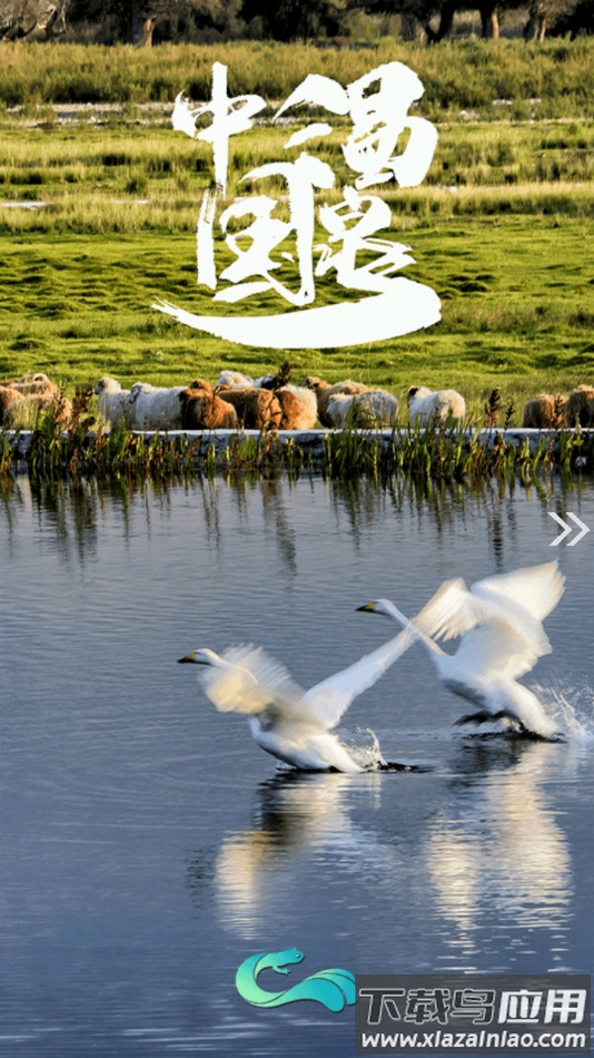 温泉好地方app下载安装最新版截图2