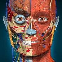 AnatomyLearning3D解剖学专业版