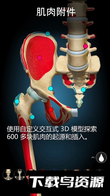 AnatomyLearning3D解剖学专业版截图1