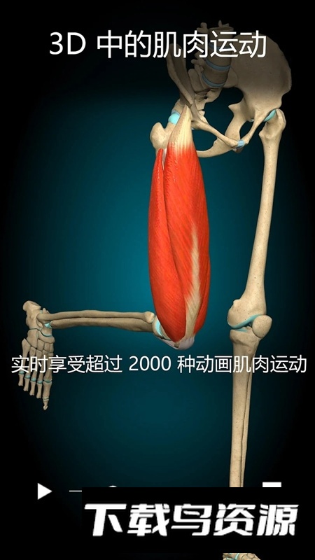 AnatomyLearning3D解剖学专业版截图2
