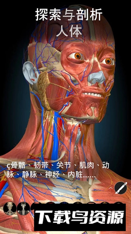 AnatomyLearning3D解剖学专业版截图3
