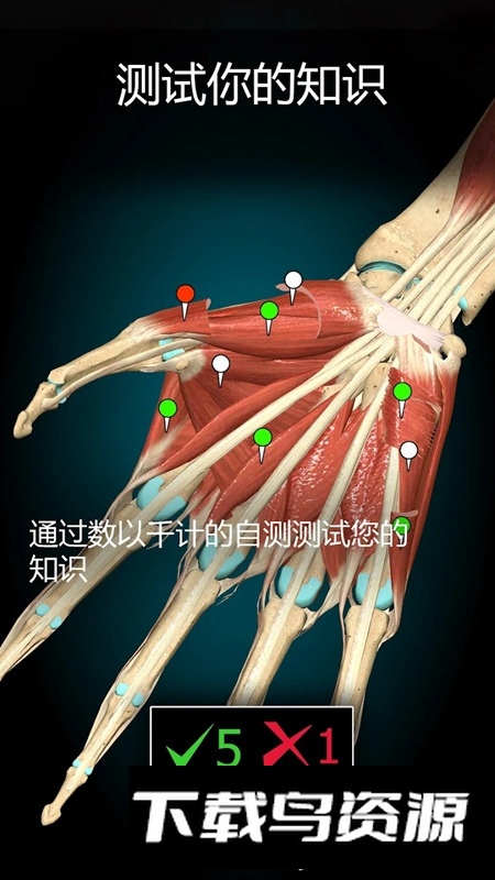 AnatomyLearning3D解剖学专业版截图5