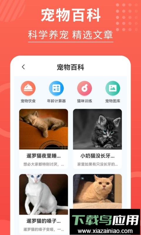 猫猫翻译器软件截图1