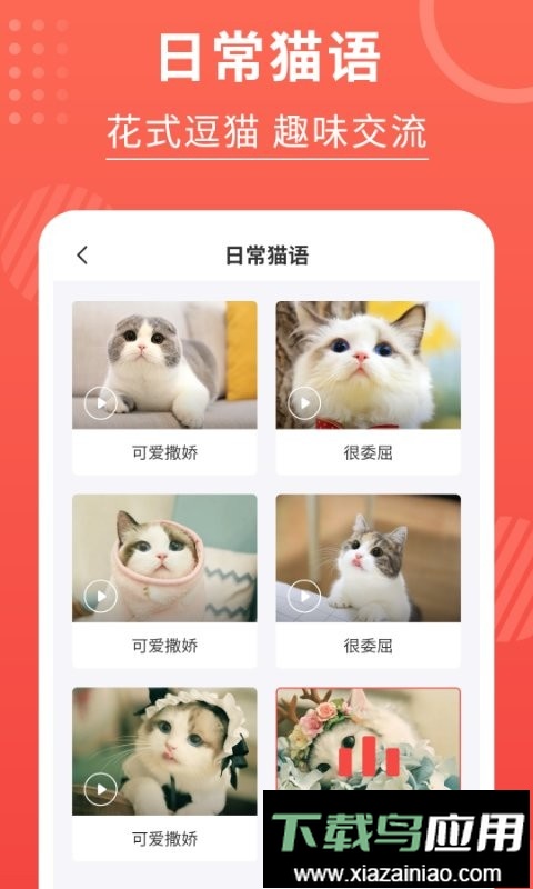猫猫翻译器软件截图4