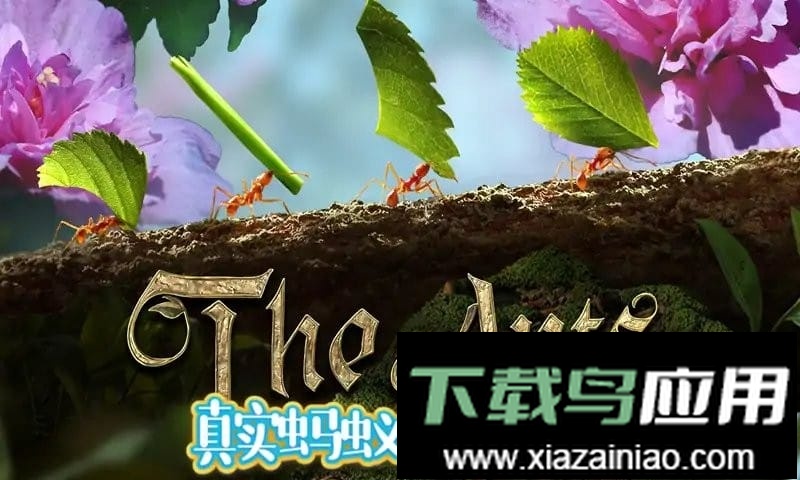 蚂蚁文托模拟器手机版截图3