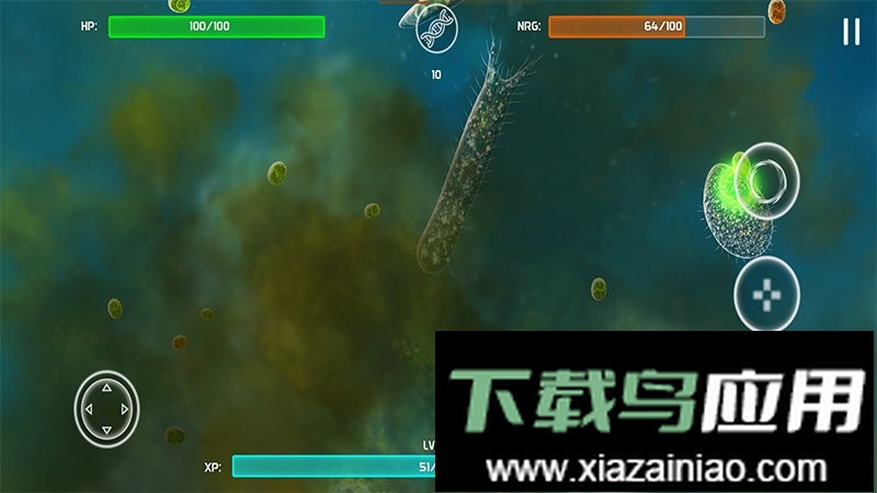 孢子的起源最新汉化版最新版截图2