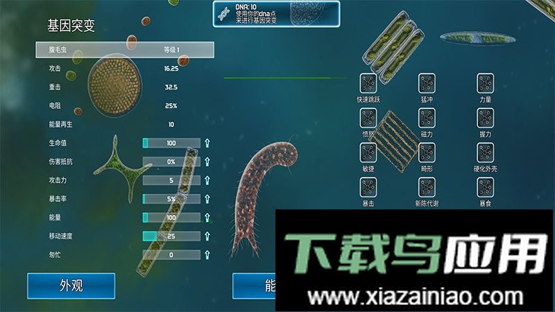 孢子的起源最新汉化版最新版截图3