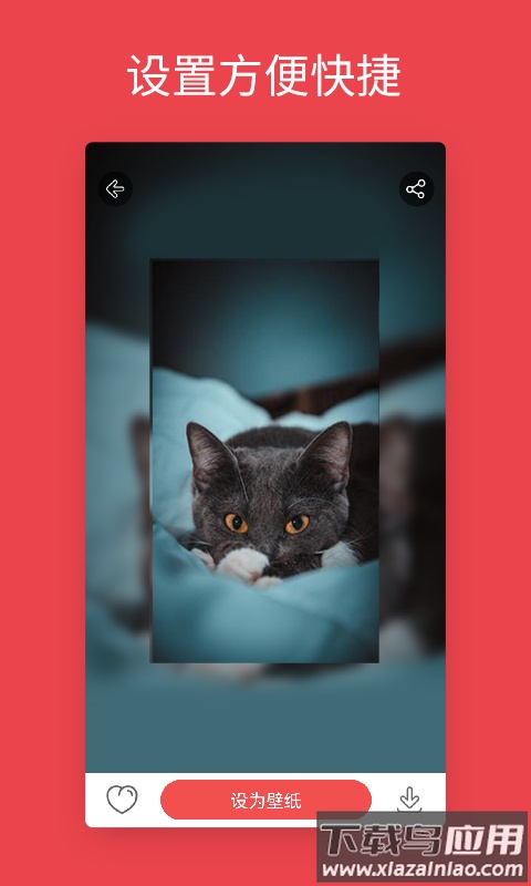 安卓动态壁纸下载安装截图2