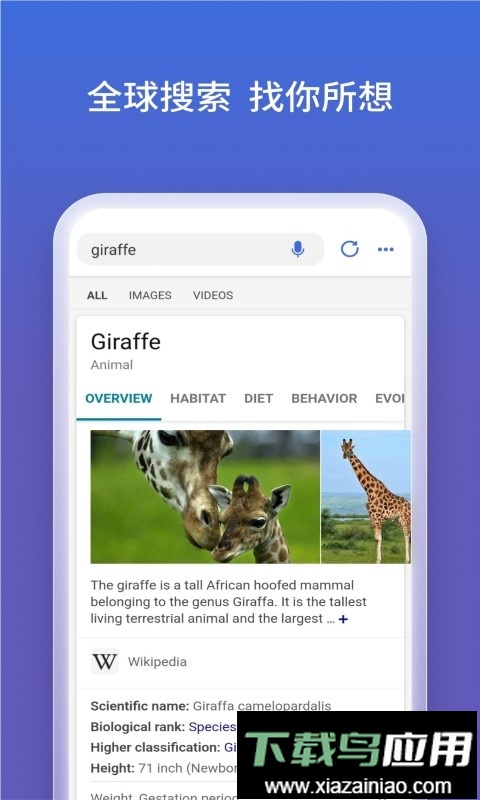 微软必应app(com.microsoft.bing)截图1