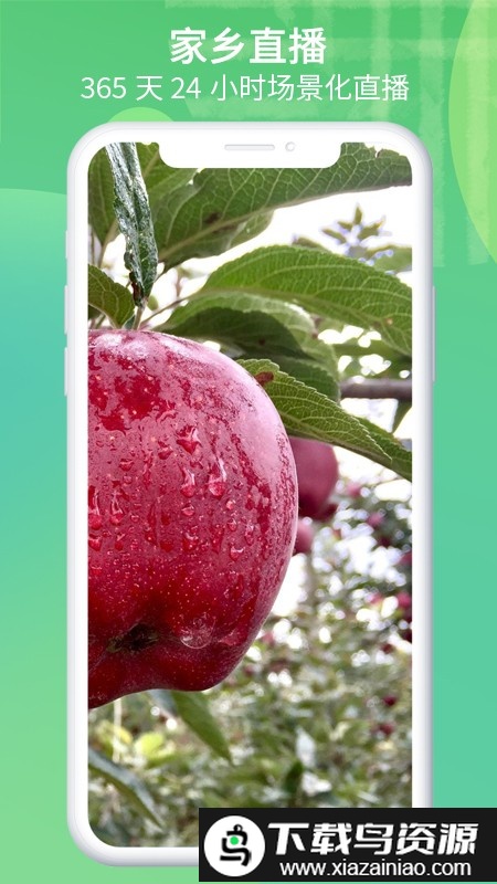 家乡直播平台最新版截图2
