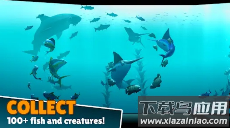 深海生物游戏(Creatures of the Deep)最新版截图1
