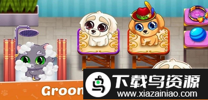 宠物收容所游戏最新版截图2