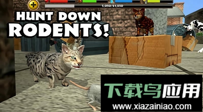 流浪猫模拟器中文版(StrayCatSim)最新版截图2