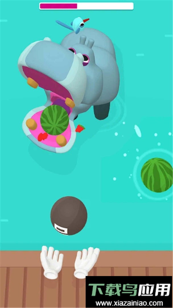 快乐动物园最新版截图3