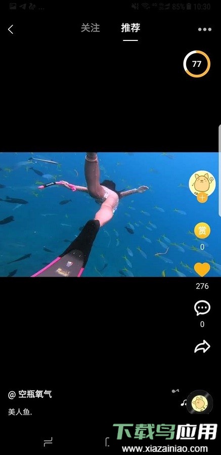 速问视频手机版截图2