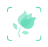 形色识别花草app