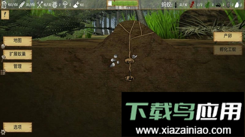 蚂蚁搬家手机版最新版截图2