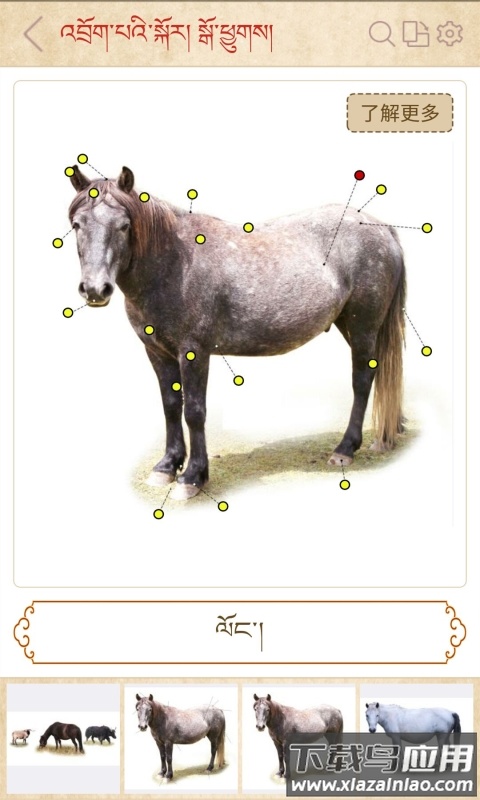 传统图解词典app最新版截图3