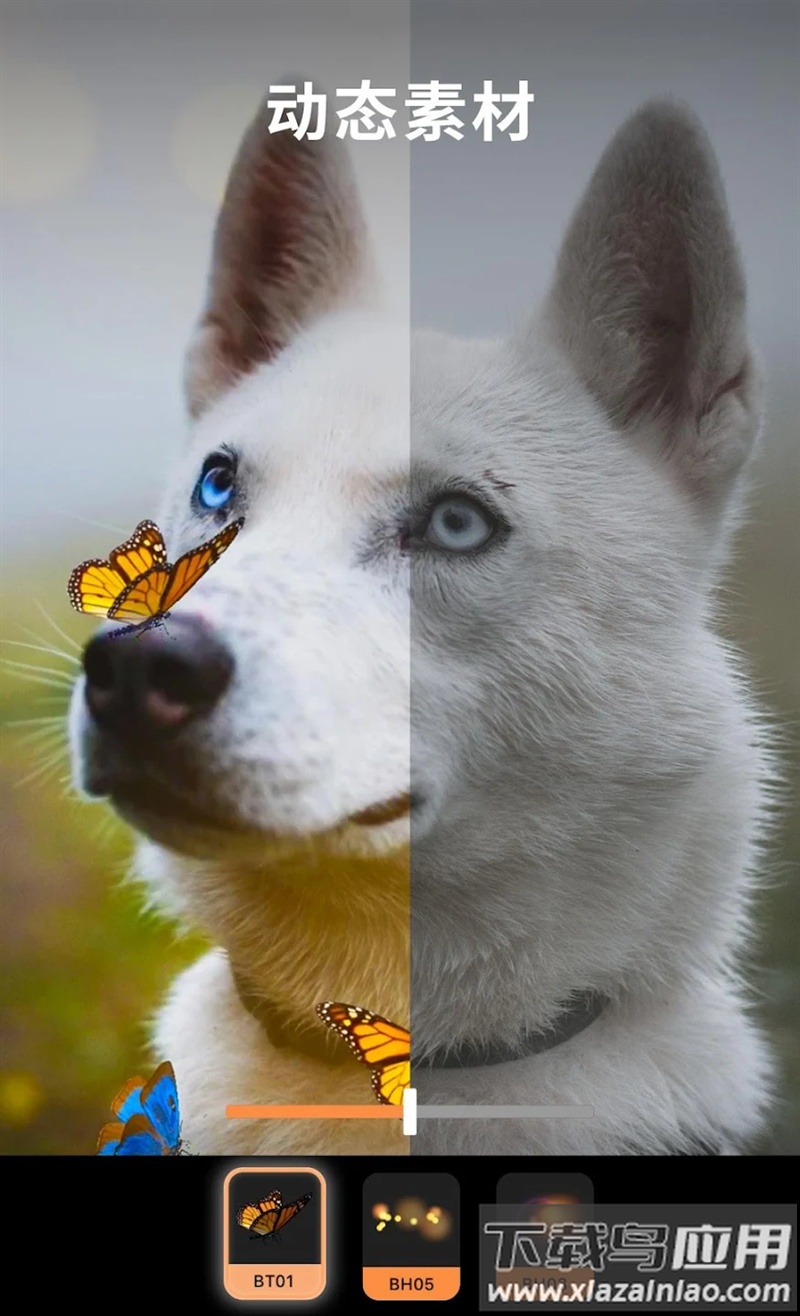 小狐狸动画制作app软件(Motionleap)最新版截图3