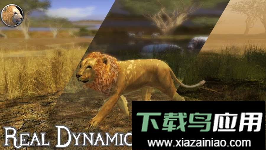 狮子模拟器中文版截图3