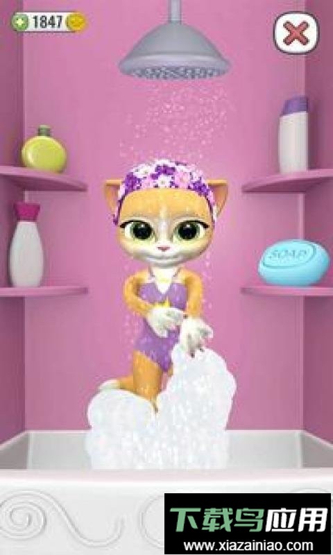 会说话的小猫咪手机版最新版截图3