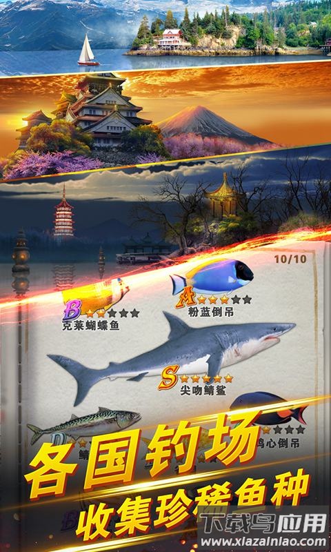 世界钓鱼之旅手游下载最新版截图4