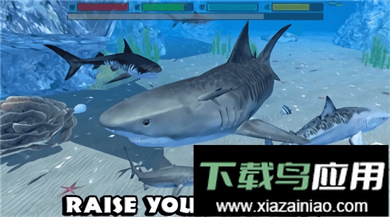 究极鲨鱼模拟器手游(UltSharkSim)最新版截图1
