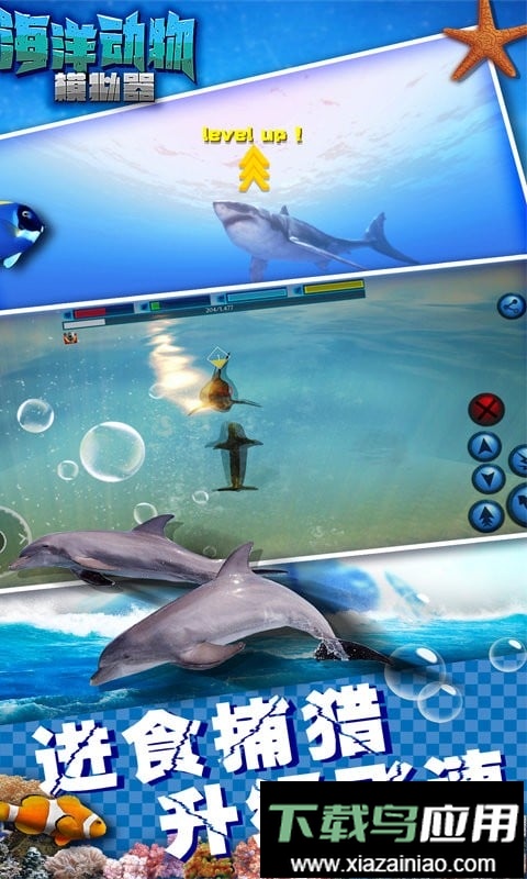 海洋动物模拟器官方版截图1