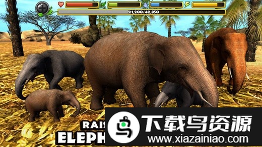 大象模拟器游戏最新版截图3