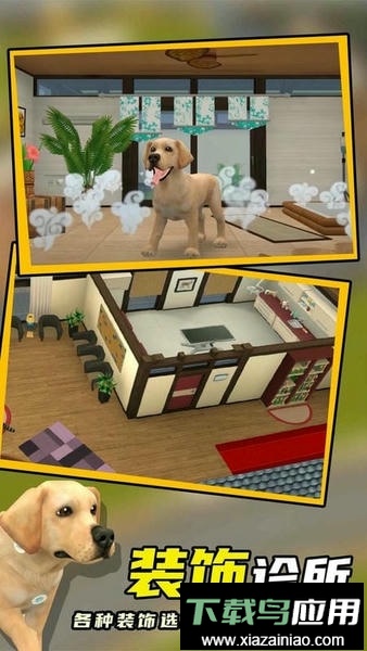 亚萨宠物医院最新版截图3