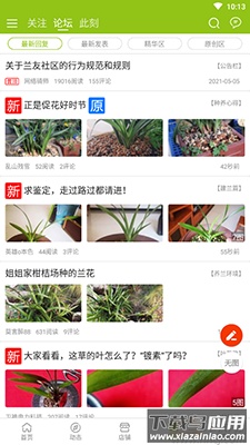 中国兰花交易网app兰花拍卖最新版截图3