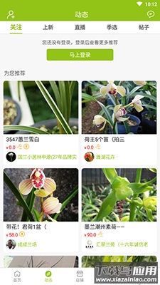 中国兰花交易网app兰花拍卖最新版截图4