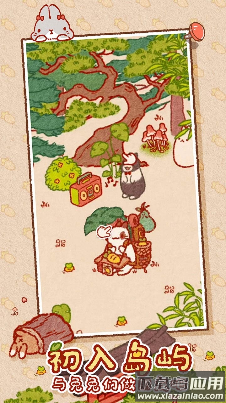 兔兔岛官方下载最新版截图2